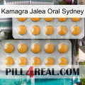 Kamagra Oral Jelly Sydney levitra2